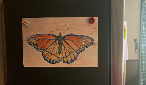 Viceroy Print